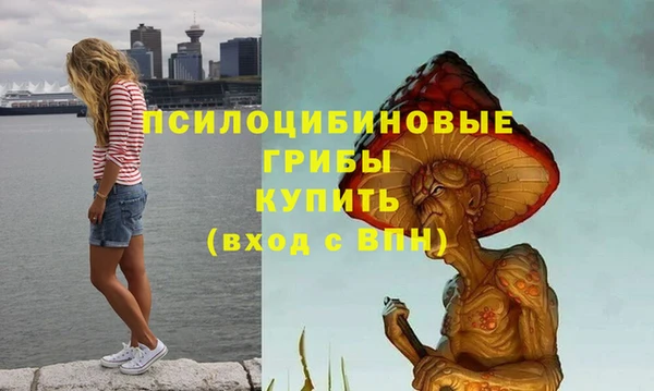 амфетамин Медвежьегорск