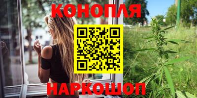 дживик Камышлов