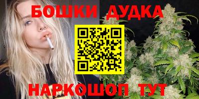 МДПВ Канаш