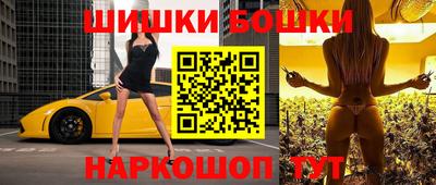 МДПВ Канаш