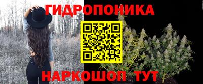 МДПВ Канаш