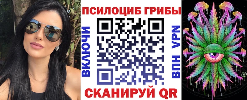 Галлюциногенные грибы GOLDEN TEACHER  цены наркотик  Шадринск 