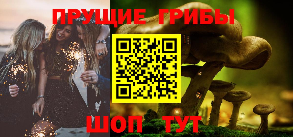 Псилоцибиновые грибы Psilocybe  Вход с VPN  Шадринск  Галлюциногенные грибы прущие грибы 