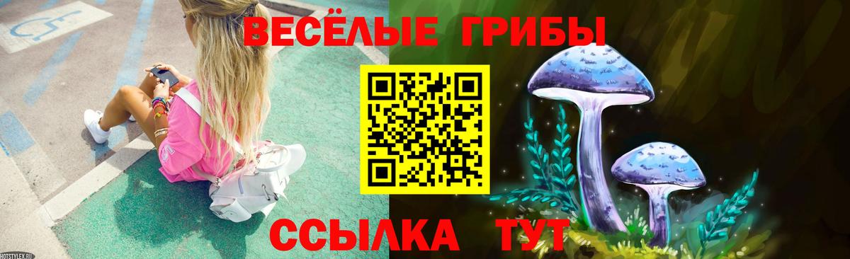 Псилоцибиновые грибы Cubensis  Шадринск 