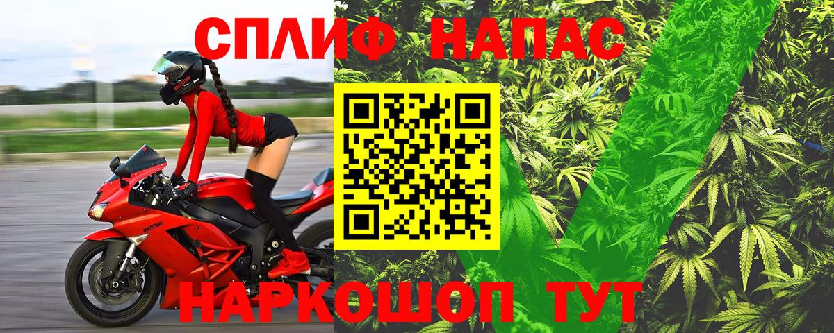 Бошки Шишки Amnesia Шадринск